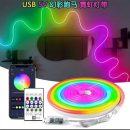 RGB-IC Smart Neon LED Strip Light 5 Meter (16 feet) with Apps & Remote Control