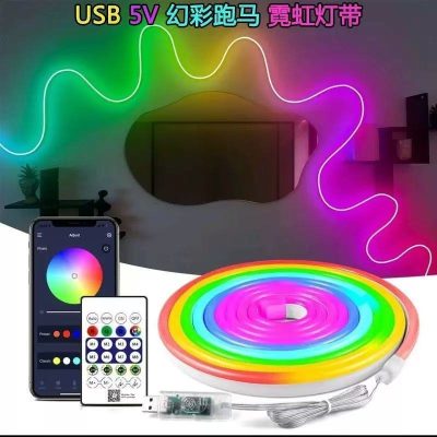 RGB-IC Smart Neon LED Strip Light 5 Meter (16 feet) with Apps & Remote Control